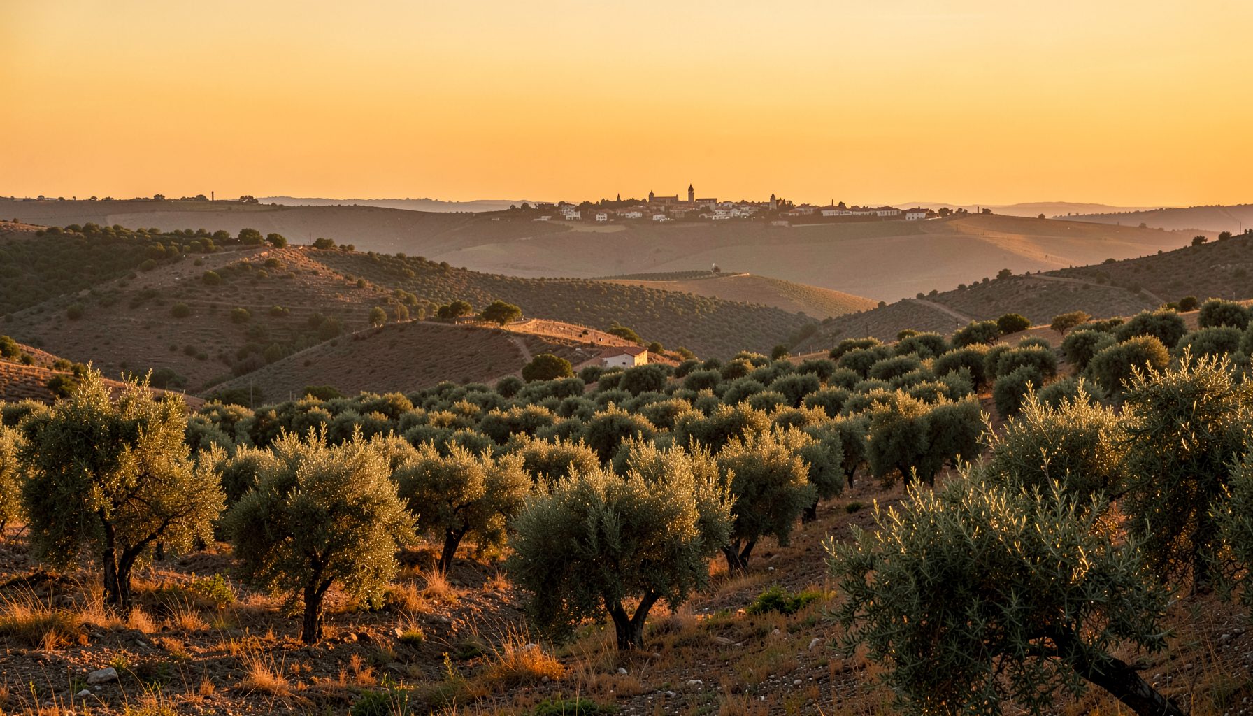 Rolling hills and olive groves under a warm golden sunset in the countryside of Castilla-La Mancha, with a distant villa