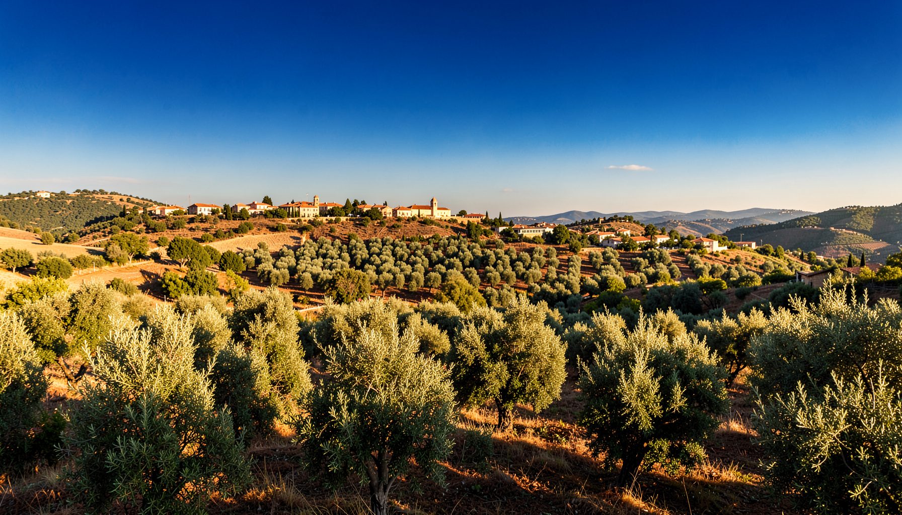 Warm golden sunlight washing over rolling Spanish countryside with olive groves and terracotta rooftops, deep blue sky above