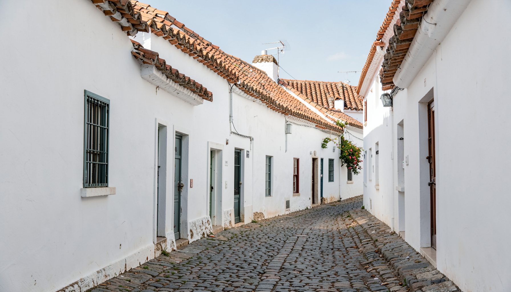 Narrow cobblestone street lined with traditional whitewashed houses and terracotta roof tiles, bathed in soft midday sun